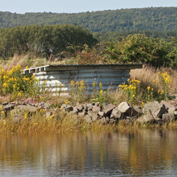Modern-day aboiteau on the Annapolis River 