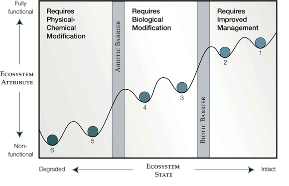 Figure 2: Conceptual model for ecosystem degradation and restoration  (Adapted from Whisenant 1999, and Hobbs and Harris 2001)