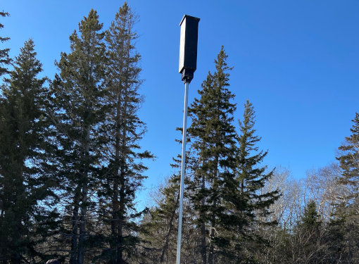 A bat box mounted on a high pole.