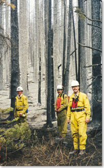 Heavily burned forest and firefighters