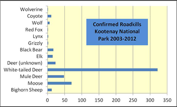 Confirmed Roadkills in Kootenay National Park 2003-2012