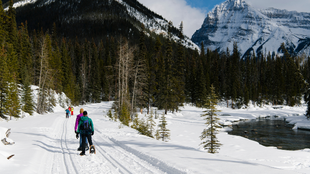 Cross-country skiers and snowshoers are on either side of a multi-use winter trail.