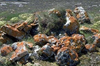 Rocks arranged in a circle. The ground dips in the centre.