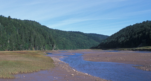 View of Upper Salmon River