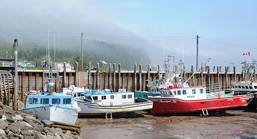 Boats of the village of Alma at low tide