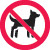 Dogs not permitted