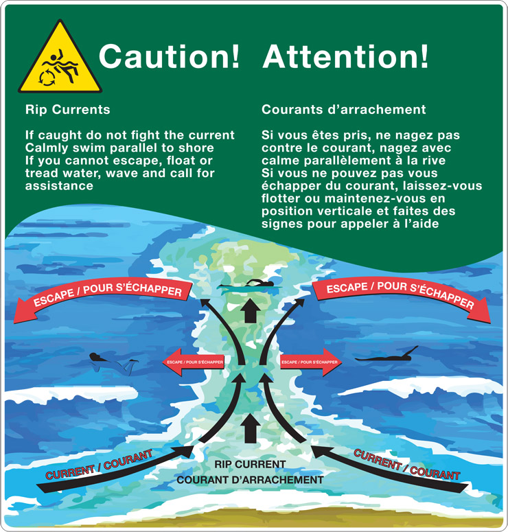 An illustration describing how to escape from a rip current