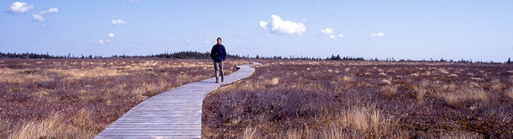 A lone hiker on the boardwalk