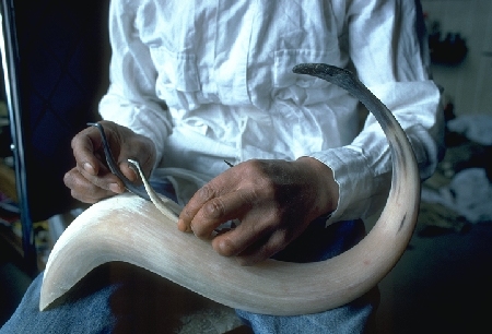 Muskox horn carving