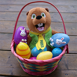 Easter basket with eggs and Parka stuffy inside