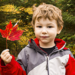 Boy holding a maple leaf