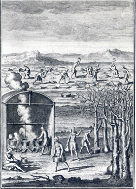 Amérindiens faisant du sirop d'érable. Gravure tirée de l'ouvrage de Lafitau : Moeurs des sauvages amériquains, 1724.