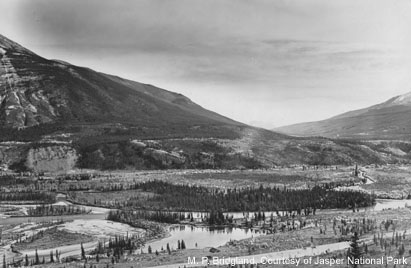 Deux photos du même secteur le long de la rivière Athabasca, près des Palisades, dans le parc national Jasper. Une photo a été prise en 1915, l’autre en 2000. Sur la photo de 2000, on distingue un nombre beaucoup plus important de pins matures.