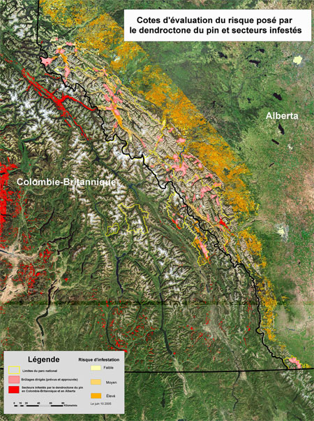 Cette carte illustre l'étendue des flambées de dendroctones du pin ponderosa en Alberta et en Colombie-Britannique. Elle montre également les efforts concertés que déploient l'industrie forestière, les gouvernements provinciaux et le fédéral pour gérer cette propagation.