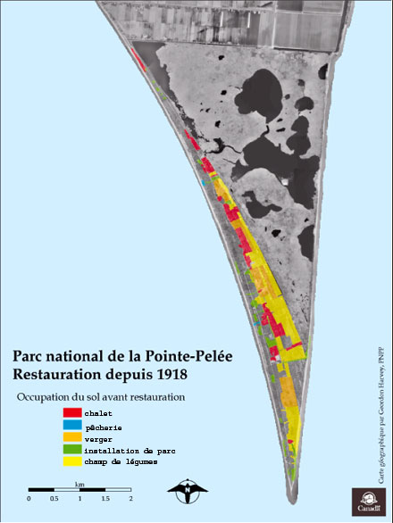 Carte de la Pointe-Pelée, illustrant l’occupation des terres avant restauration