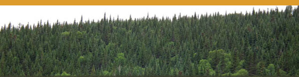 Le but ultime est un écosystème forestier en santé