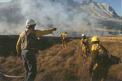 Quatres personnes se déplacent dans un pré en direction de la fumée au loin.  Derrière la fumée, on aperçoit une montagne.
