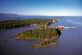 Vue aérienne d’une l'île boisée avec un quai.