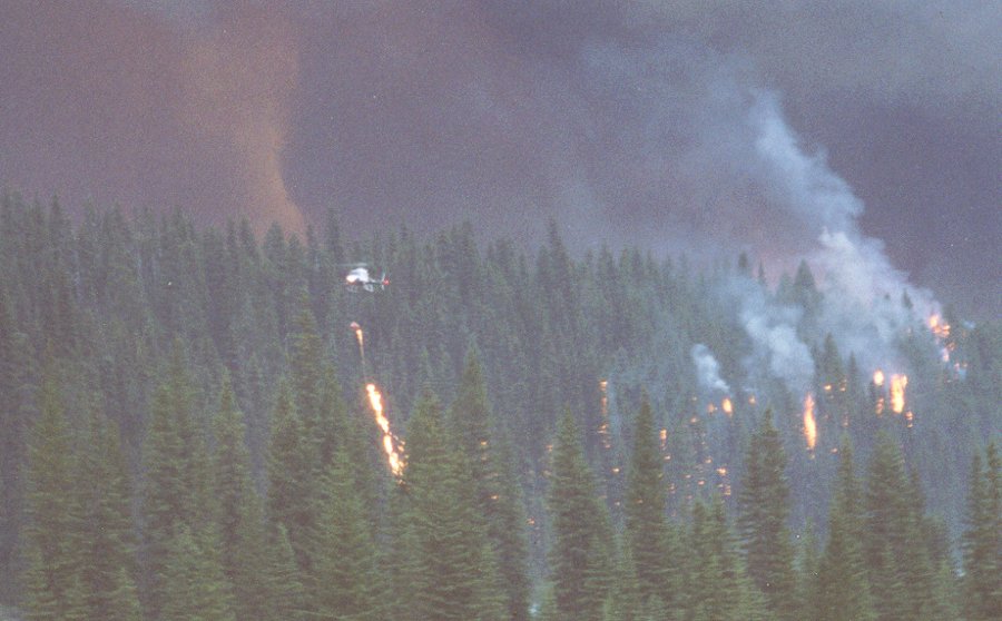 Un hélipcoptère vole au dessus de la forêt en laissant tomber des flammes avec une hélitorche sur fond de fumée grise.