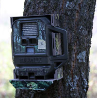 Caméras d'observation de la faune