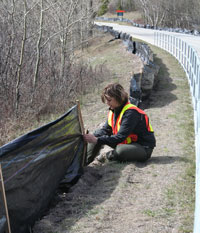 Un chercheur assis installe une clôture noire en plastique le long de la route