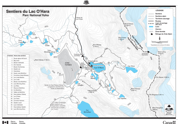 Carte des sentiers de la region du lac O'Hara