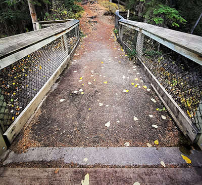 A short (15 m), paved path takes visitors to an accessible wooden bridge providing views of Mountain Creek and the punchbowl-shaped hollow at the base of its falls
