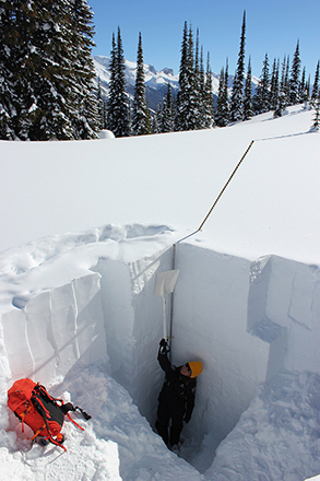 Parks Canada staff standing in a snow pit holding a shovel straight up, above their head. The pit is so deep, the shovel doesn’t reach the surface of the snow pack.