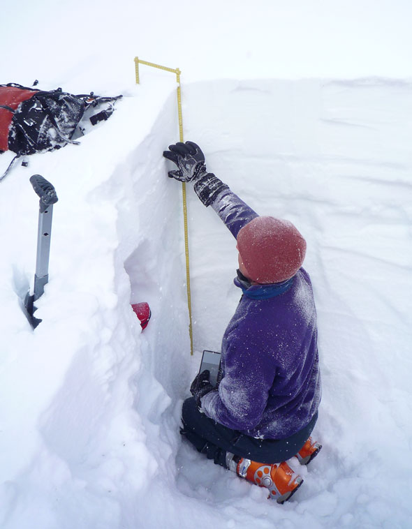 Parks Canada's Avalanche Forecasters are in the field everyday through the winter season studying the snowpack. 