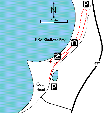 Map of Shallow Bay Cross-Country Ski Trails
