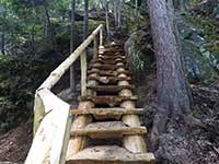 New stairs on the Deux-Criques Trail - AFTER