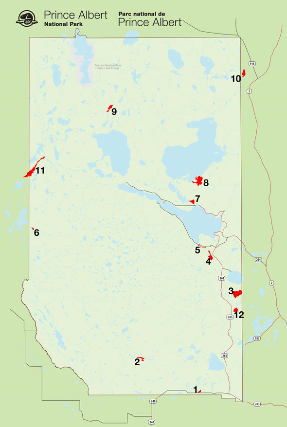 Map – Prince Albert National Park loon survey lakes. 