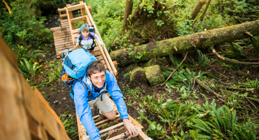 Visitors climb a multi-level ladder on the West Coast Trail.